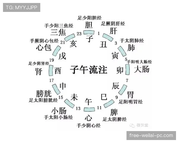 篮球半场和全场计时规则解析，掌握精准时间控制